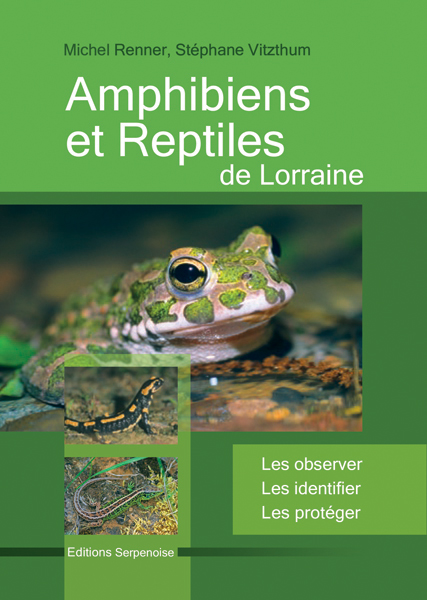 a la rencontre des amphibiens