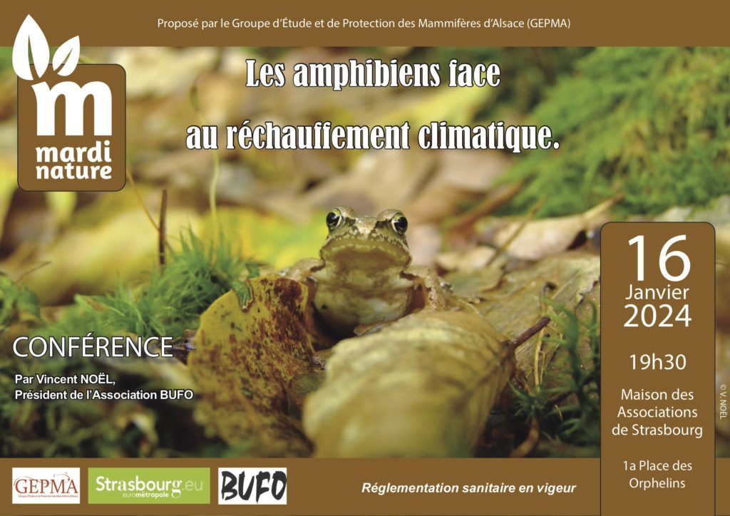 Les Amphibiens Face Au R Chauffement Climatique Bufo Association